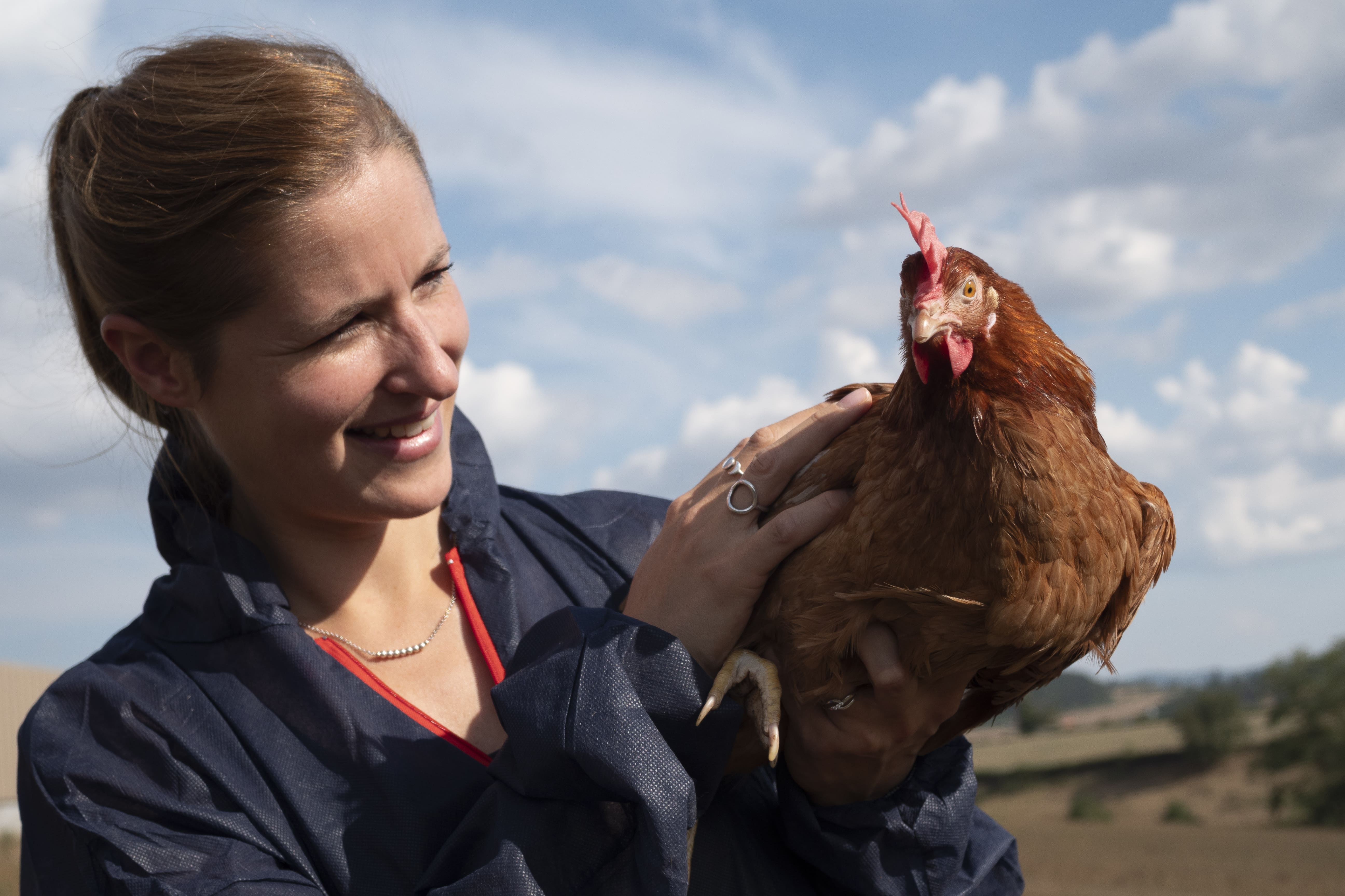 Photo slidder veterinaire